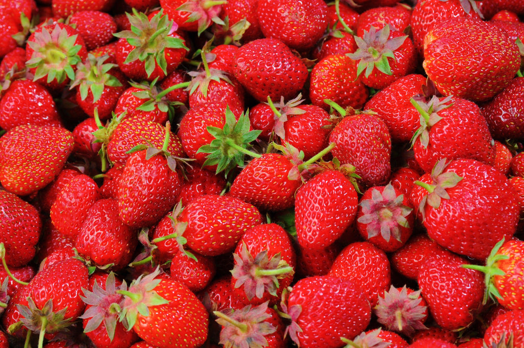 What Is the Difference Between Organic, Non-GMO, and Artificial Ingredients? - www.cagummybears.com