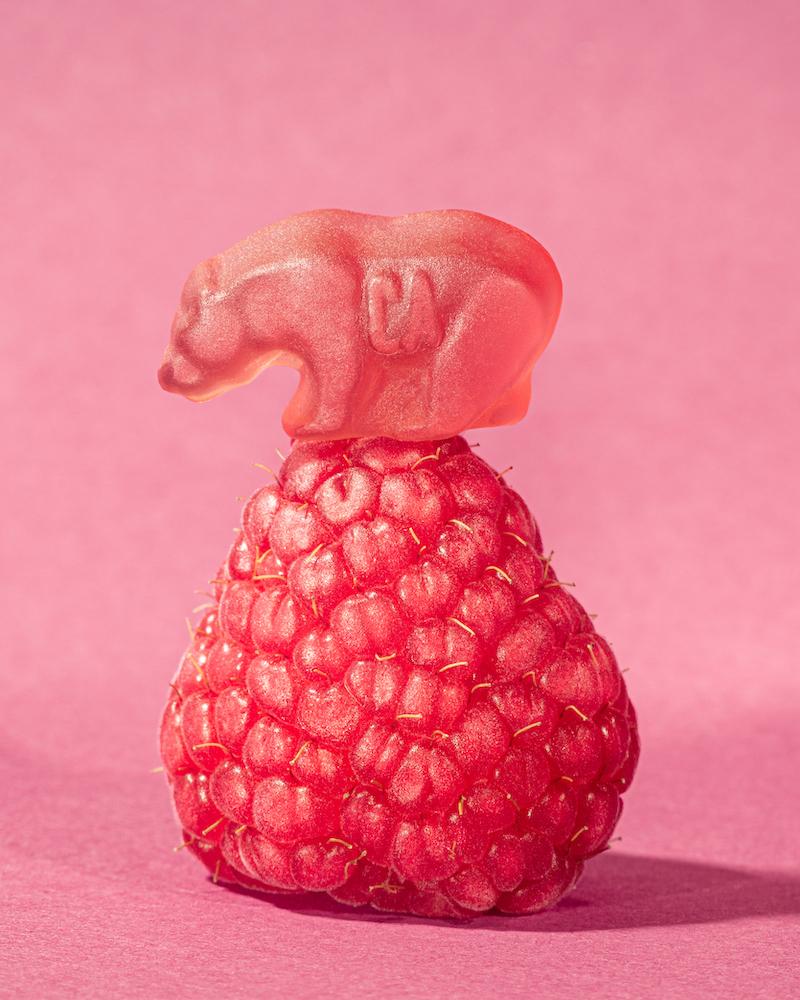 Raspberry Revolution Gummy Bears Gift Box | California Gummy Bears