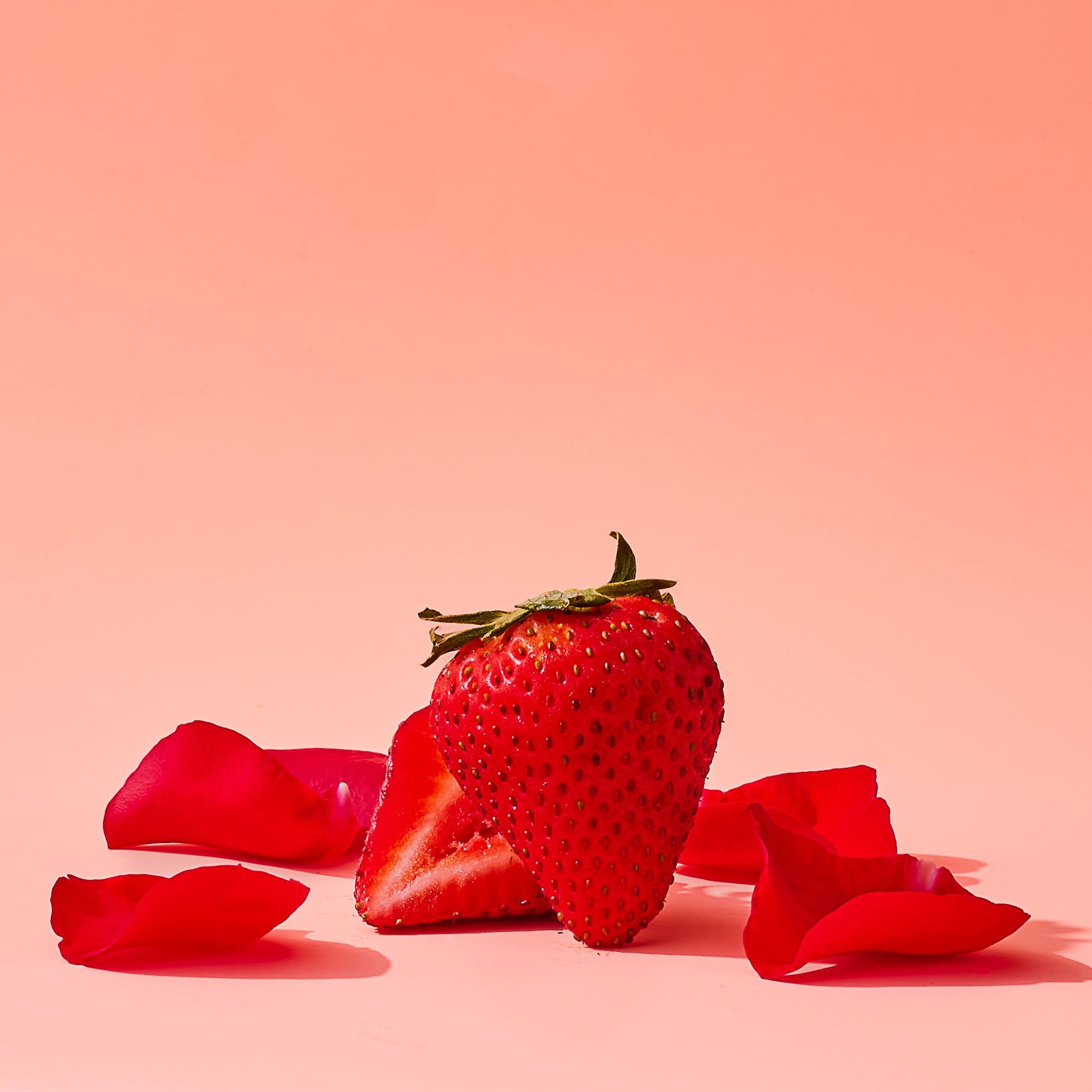San Diego Strawberry Rose - Gummy Bears – California Gummy Bears
